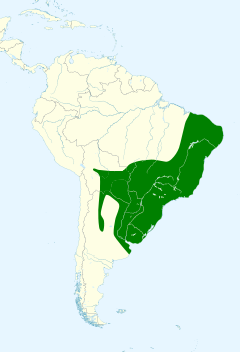 Distribuição do sabiá-laranjeira