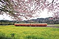 鉄道撮影地として整備された区間も存在する（2020年3月7日 養老渓谷周辺）