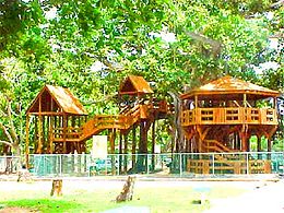 Banyan Treehouse