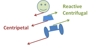 Figure 3: Exploded view showing force components. Each object is subject to a net inward force that is the difference between the outward reactive centrifugal force and an inward centripetal force. This net inward force is the centripetal force upon that object necessary for it to make the turn. (Torque is ignored here, for simplicity.)