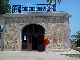 L'aquarium de Constanța.