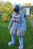 Image of a fursuit