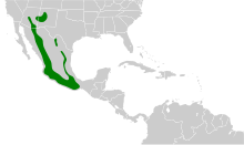 Carte de l'Amérique Centrale avec certaines zones coloriées en vert