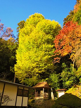 東陽寺