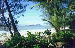 Sandstranden vid Palm Cove