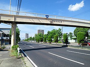 Route248 Okazaki.JPG