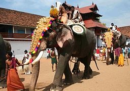 Temple Festival