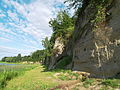 Sandstone outcrop