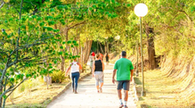 Trilha Parque Ecológico Gravatá