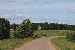 Street of Wiłkupie