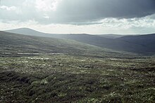 The Sally Gap in County Wicklow was one of the locations of Wild Youth's postcard.