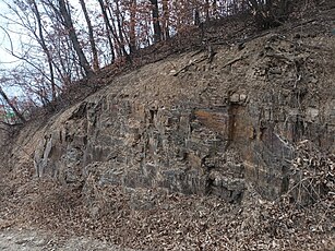 삼성현로 근처 노두 경상북도 경산시 여천동 산 11-10