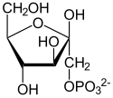 Image illustrative de l’article Fructose-1-phosphate