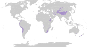 Distribución de las praderas alpinas.