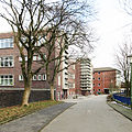 Christian-Rohlfs-Gymnasium