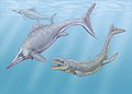 Caypullisaurus and Dakosaurus