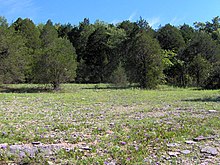 Photograph of a cedar glade, an ecosystem found in Middle Tennessee