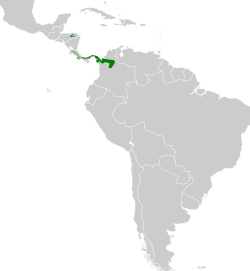 Distribución geográfica del trepatroncos colilargo pequeño.