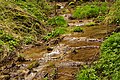 Aus Kalktuff im Gosbach gebildete Stufen nach dem Drackensteiner Wasserfall