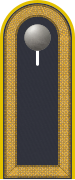 Dienstgradabzeichen auf der Schulterklappe der Jacke des Dienstanzuges für Luftwaffenuniformträger.