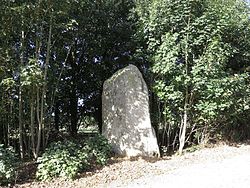 Image illustrative de l’article Menhirs du Drény