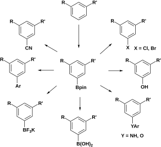 Meta-functionalization of arenes through C–H borylation