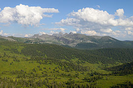 Paysage du parc