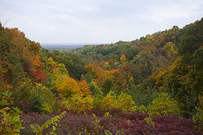 Hill view with orange, red, yellow, and green-leaved trees.