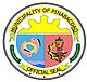 Selo oficial de Pinabacdao