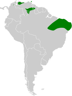 Distribución geográfica del campanero barbudo.