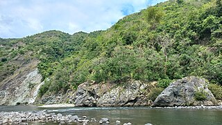 An outcrop of the Dalupirip schist covered with vegetation, exposed along the Agno riverside, Dalupirip, Itogon, Benguet.