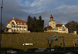 Heerbrugg Castle