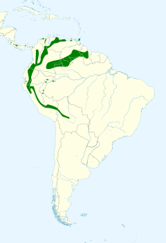 Distribuição de S. caripensis