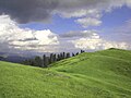 Hills of Toli Pir National Park