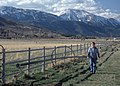 Image 26Ranching in Washoe County (from Nevada)