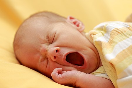 Yawning infant, by Martin Falbisoner