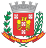 Official seal of Santa Mariana