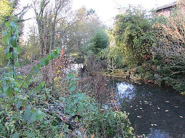 La Cologne au moulin Binard, situé entre Cartigny et Buire-Courcelles.