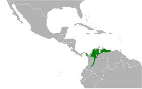 Distribución geográfica del conirrostro orejiblanco