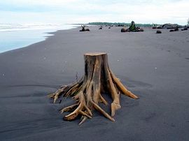 Strand bei Champerico