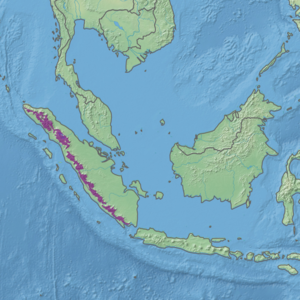 Ecoregion territory (in purple)