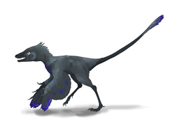 Epidendrosaurus ninchengensis restoration