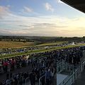 Image 82Epsom Downs, a racecourse which hosts The Derby annually. One of four in the county. (from Portal:Surrey/Selected pictures)