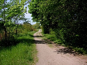 Göta landsväg på Årstafältet