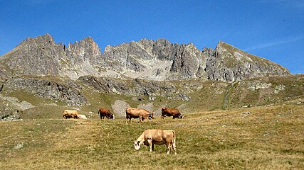 Vue du groupe du Neiglier.