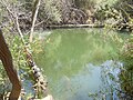 Heavenly Pond in Franklin Canyon Park