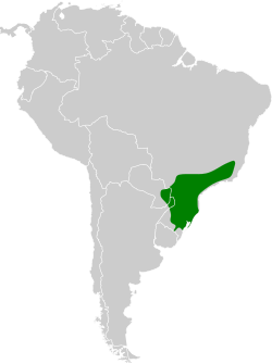 Distribución geográfica del ticotico estriado.