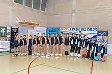 Club de patinaje artístico en línea