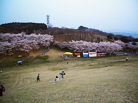 加護坊桜まつり