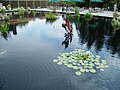 Reflecting pool, U.S. National Arboretum